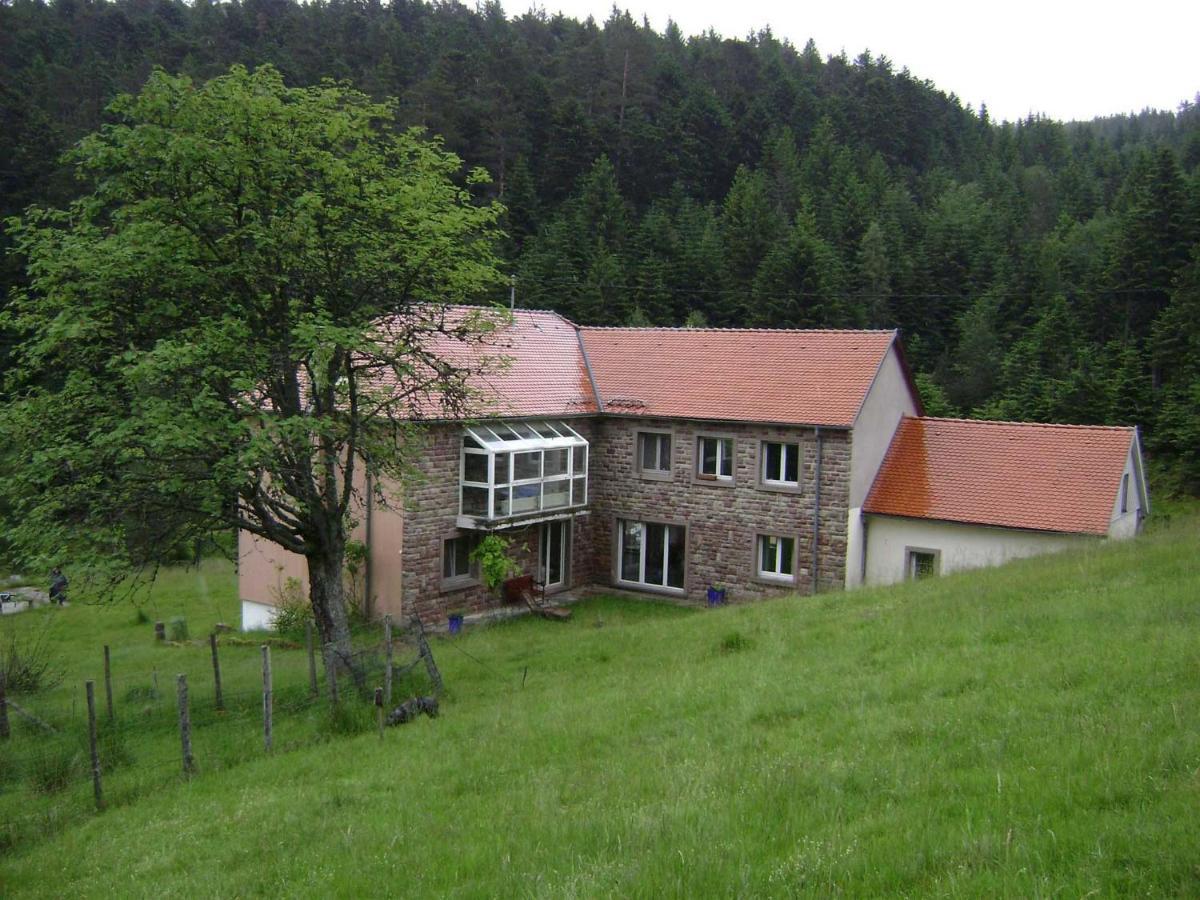 Gite Hansel De La Ferme Du Schneeberg Wangenbourg-Engenthal Экстерьер фото