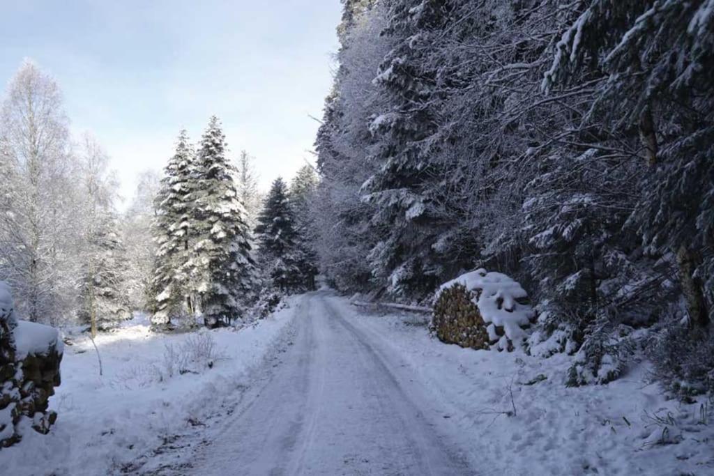 Gite Hansel De La Ferme Du Schneeberg Wangenbourg-Engenthal Экстерьер фото