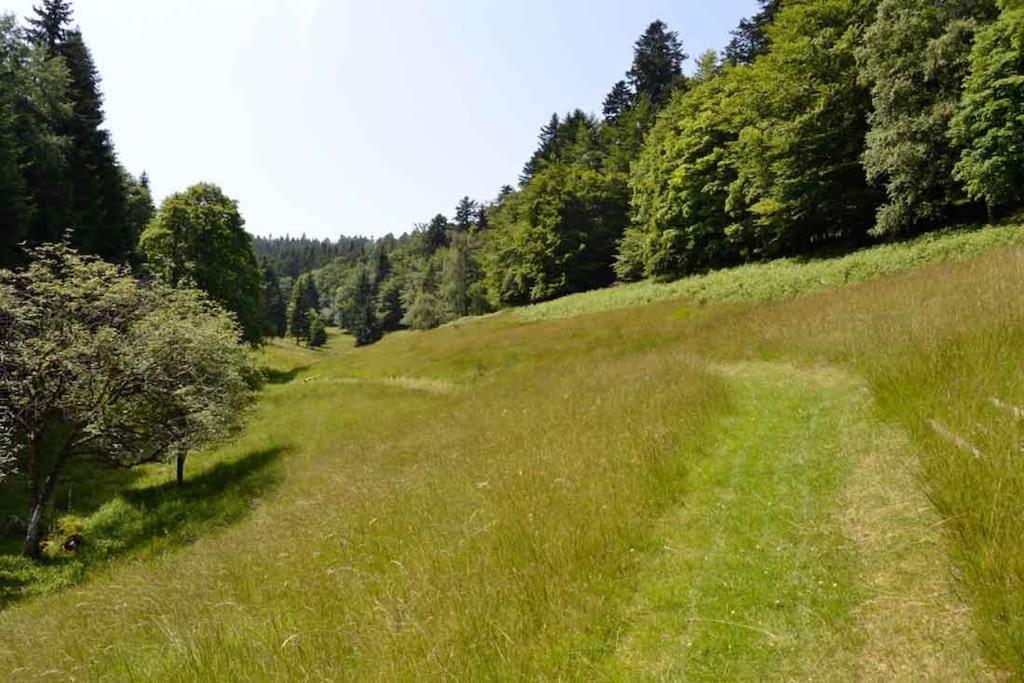 Gite Hansel De La Ferme Du Schneeberg Wangenbourg-Engenthal Экстерьер фото