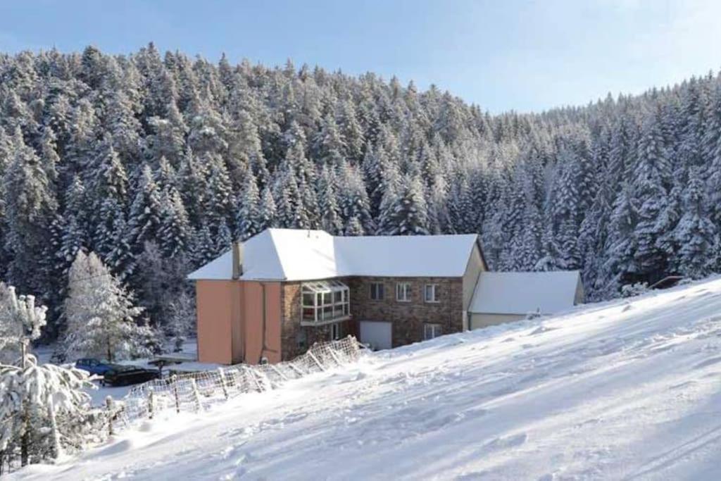 Gite Hansel De La Ferme Du Schneeberg Wangenbourg-Engenthal Экстерьер фото