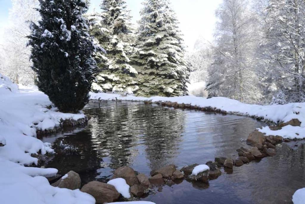 Gite Hansel De La Ferme Du Schneeberg Wangenbourg-Engenthal Экстерьер фото