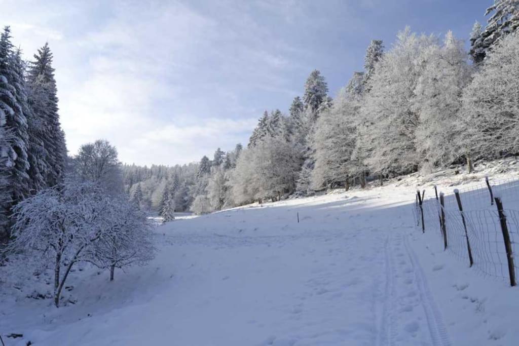 Gite Hansel De La Ferme Du Schneeberg Wangenbourg-Engenthal Экстерьер фото